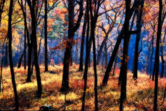 colorseason