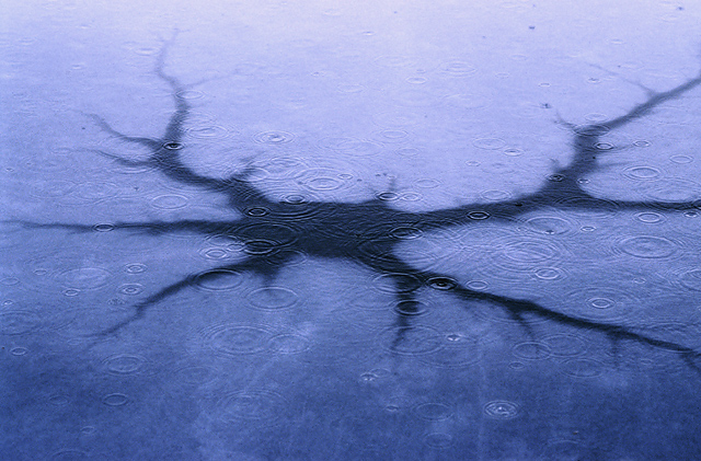 Ice & Raindrops