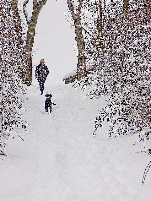 Walking the dog