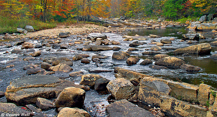 WC #224 - Adirondack Creek