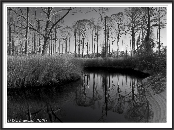Quiet afternoon in the Marsh