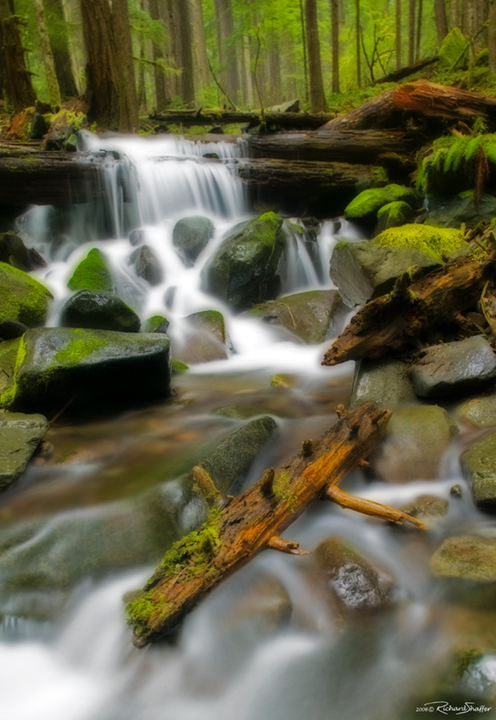 Somewhere Up Sol Duc