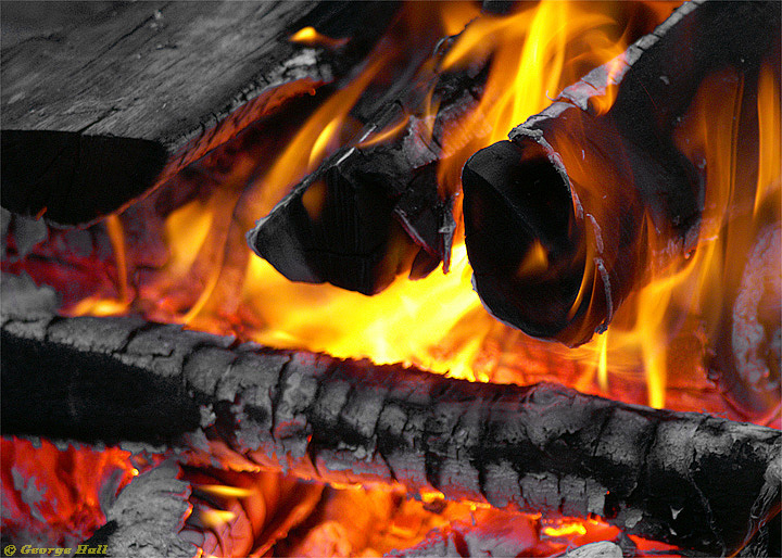 WC #237 / Campfire