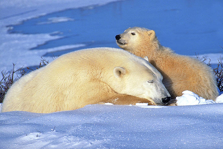 Looking after Mom