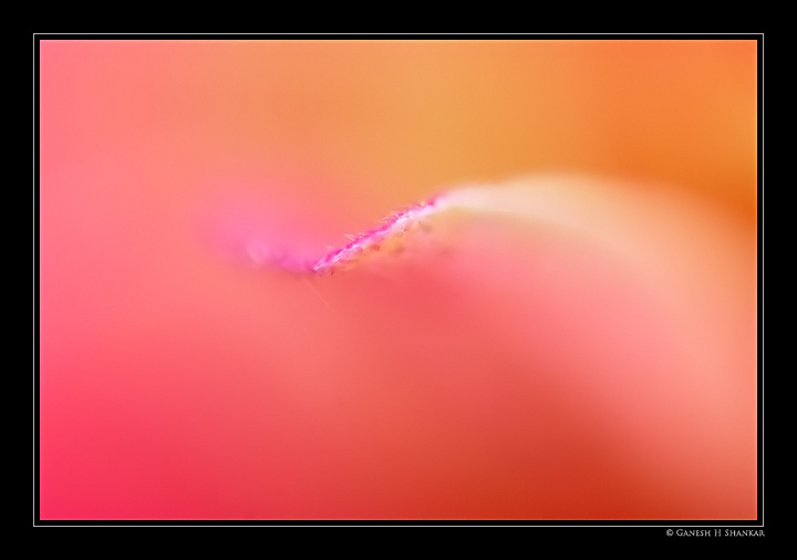 Colors and contours