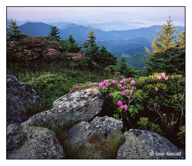 Roan Highlands