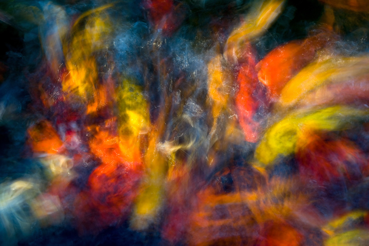 Splash of Color