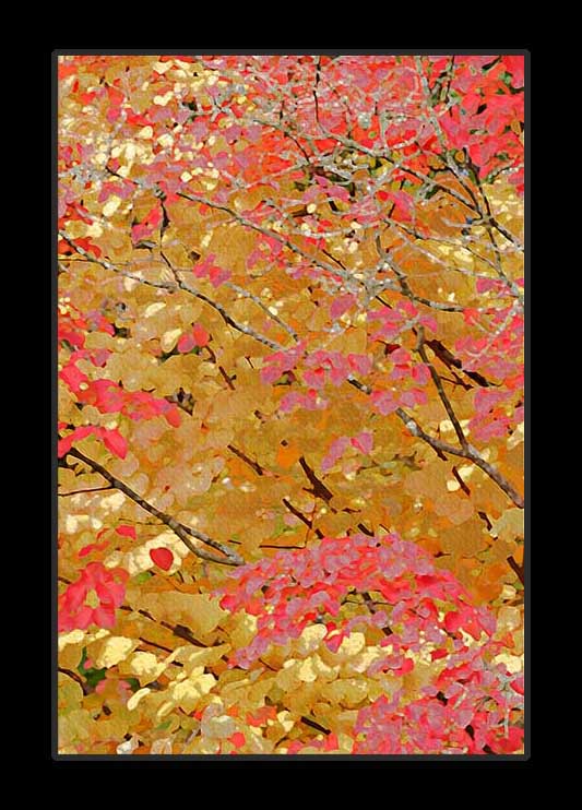 Autumn Essence