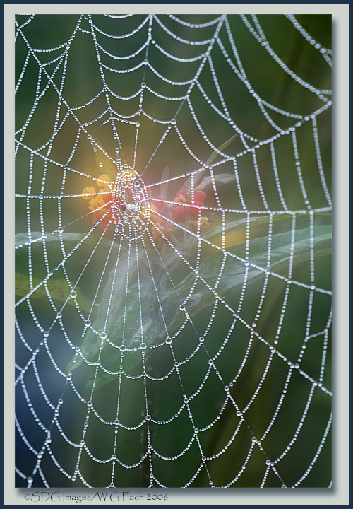 Through the Looking Glass