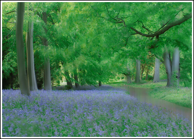Spring