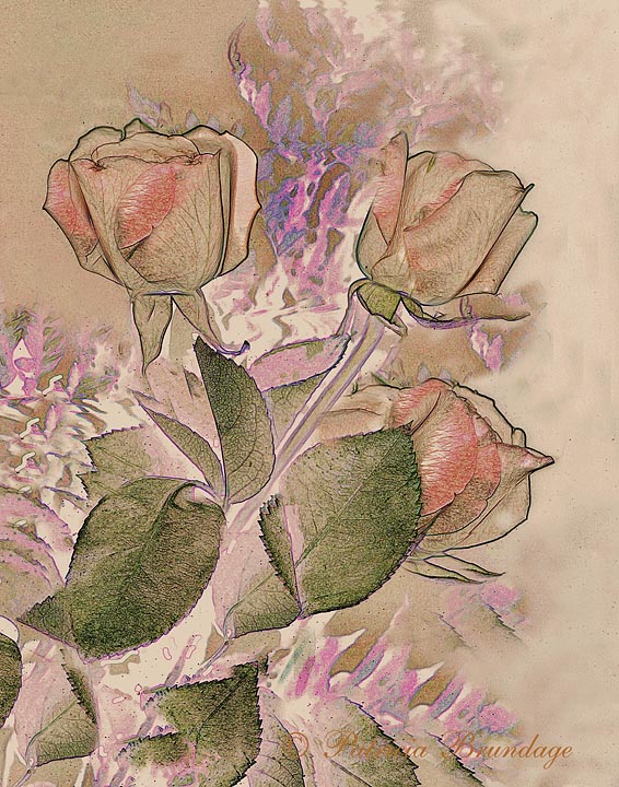 3 Roses Abstract