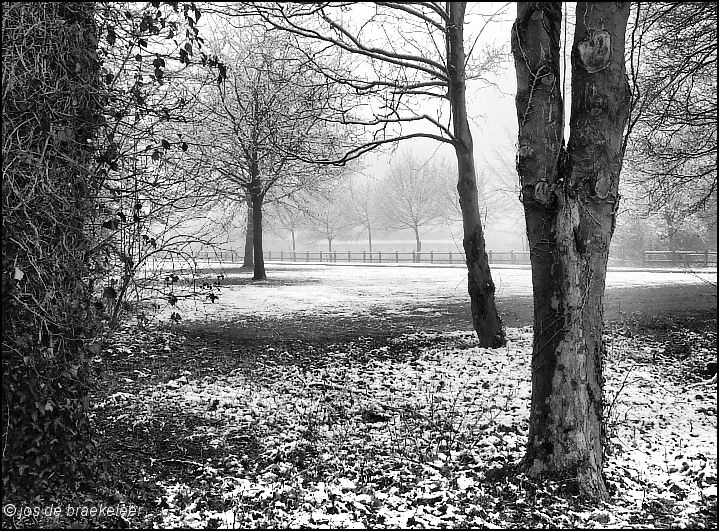 First snow