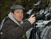 Anthony Healy
