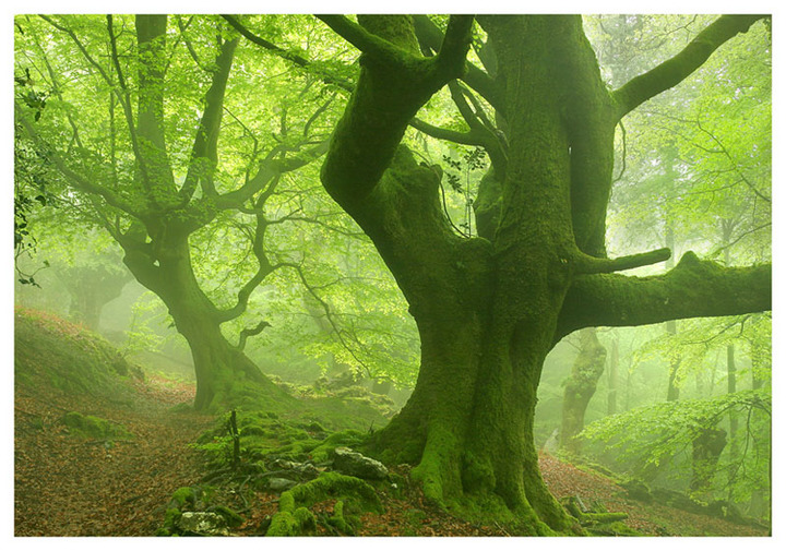 Basque country