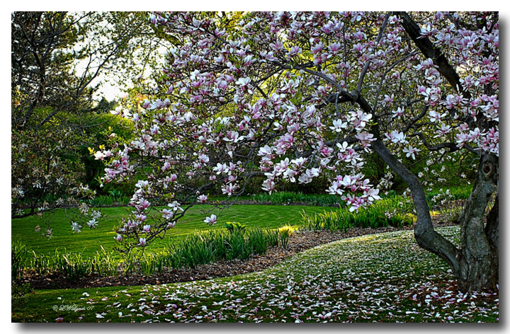 The joy of Spring!