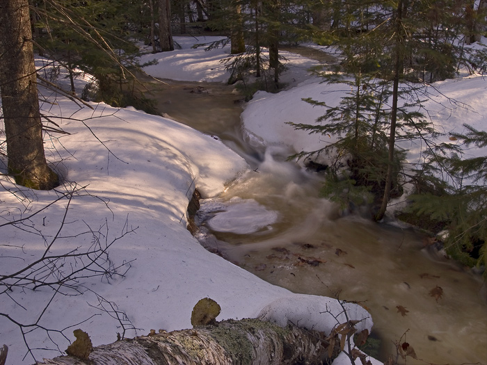 WC # 272 Run Off