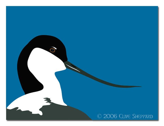 Avocet Graphic