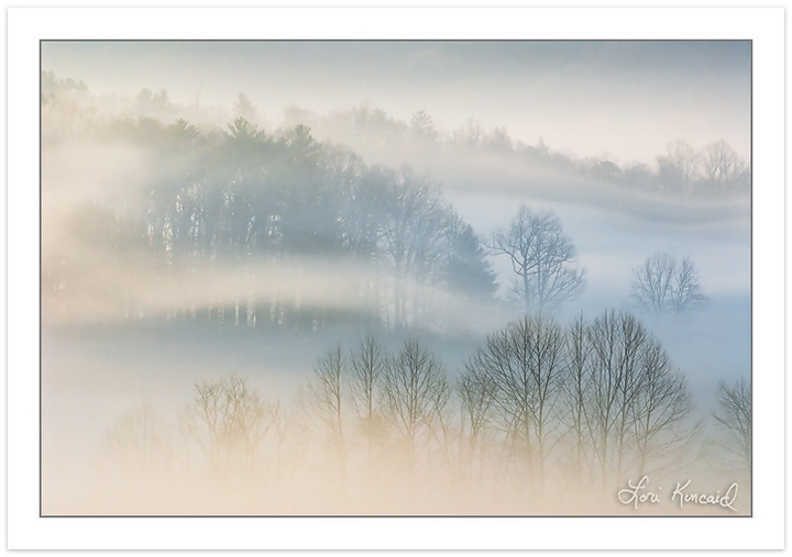 Cades Cove Morning