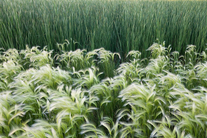 Soft Land