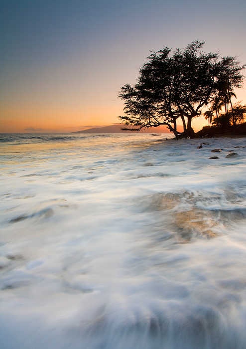 Enveloped by the Sea