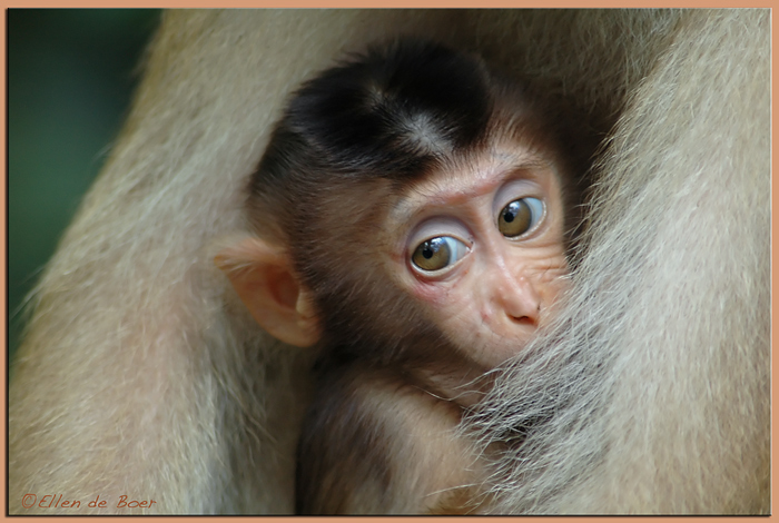 Eye-to-eye... (cuteness alert!)