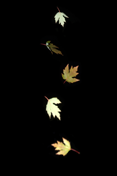 Fall