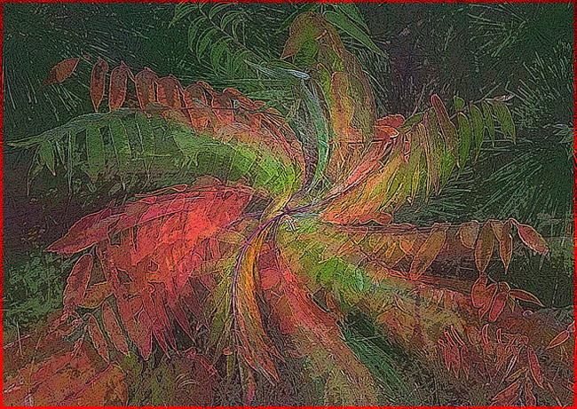 Spinning Wheel