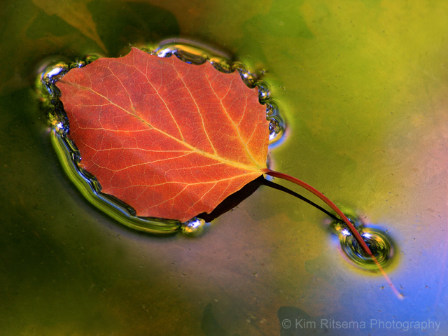 Signs of Autumn