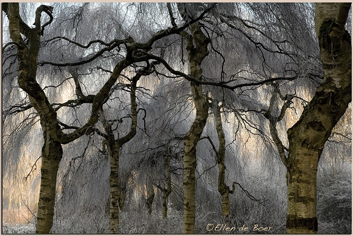 Winter dressing...
