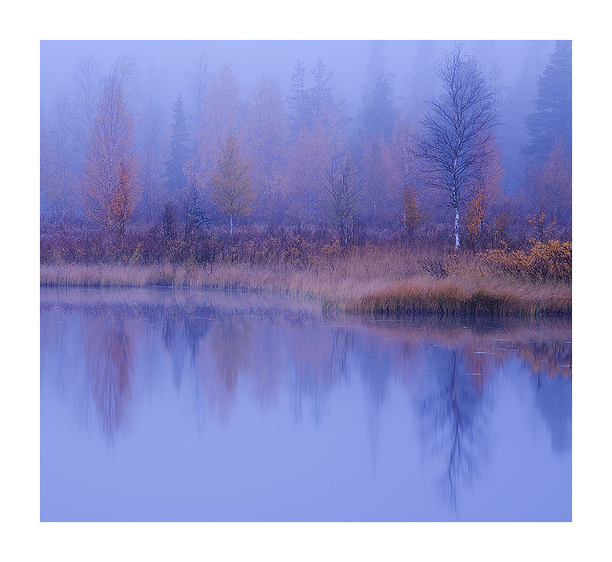 Pastel  Morning