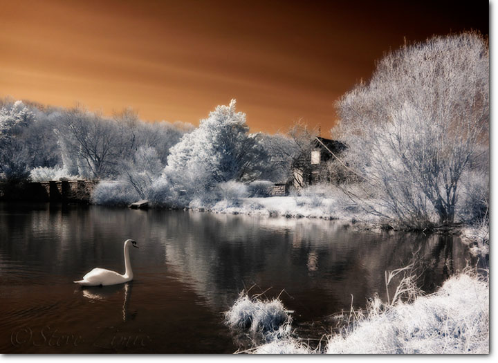 Swan Lake