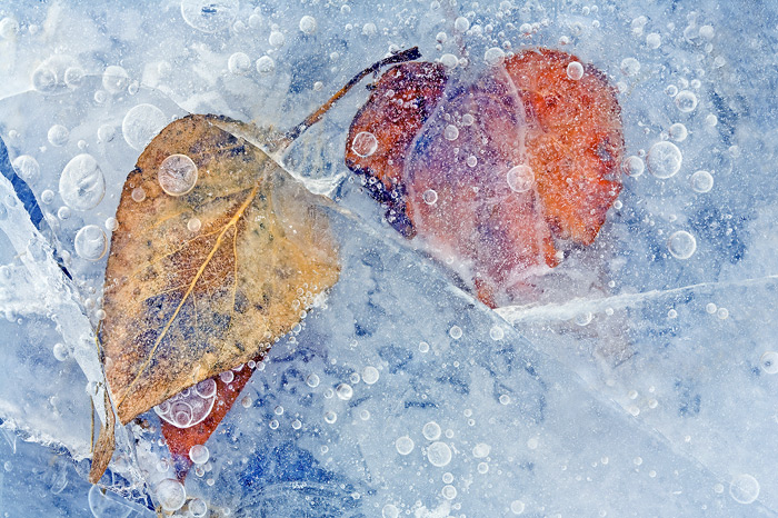 Fractured Seasons