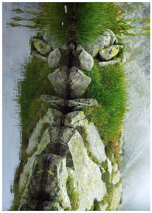 Ostrich (twist your head 90 degrees to the right to see the real image)