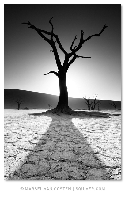 The Shadow Of Death