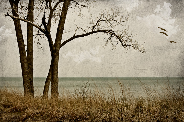 Sea Whispers (plus re-post)