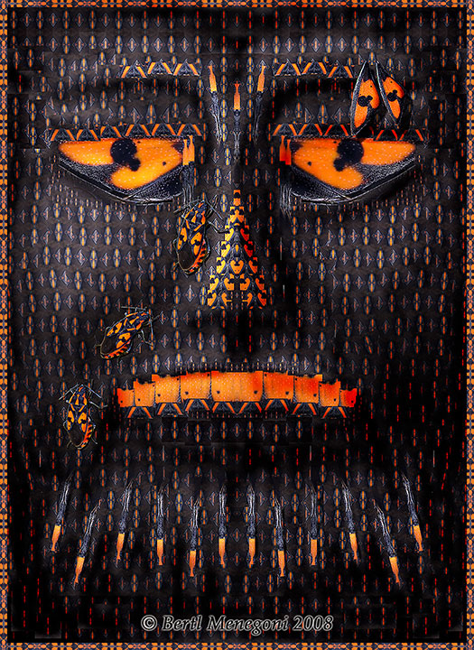 Natural spirit fireface