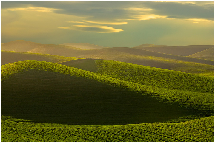 Surreal Mystery Morning