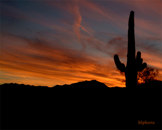 Desert Sunset