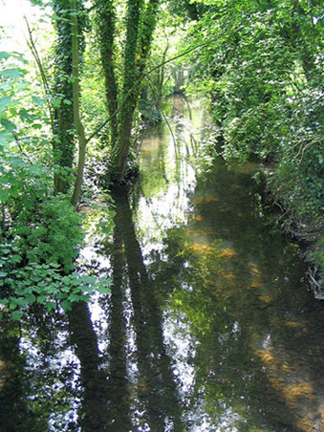 Tiffey Reflections