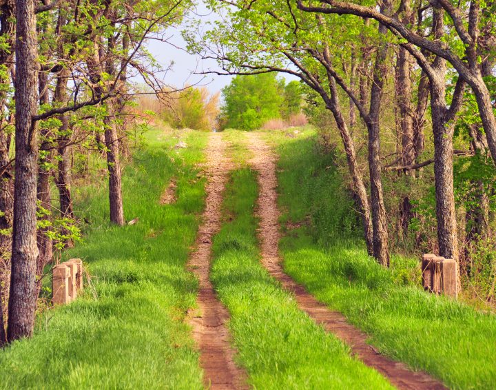 Road to Nowhere