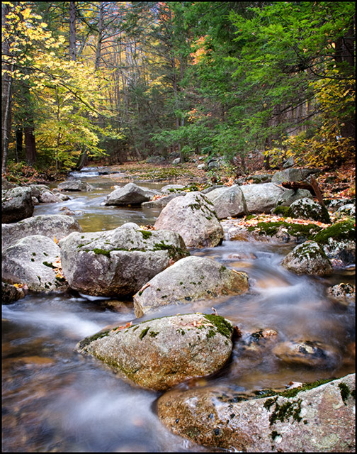 Autumn at Peter's Kill