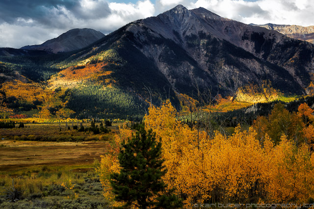 Rinker Peak Gold