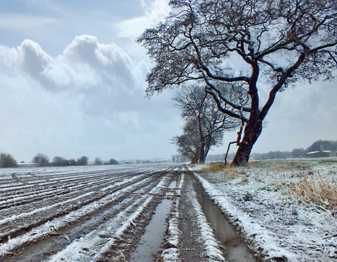 Snow on winter farmland