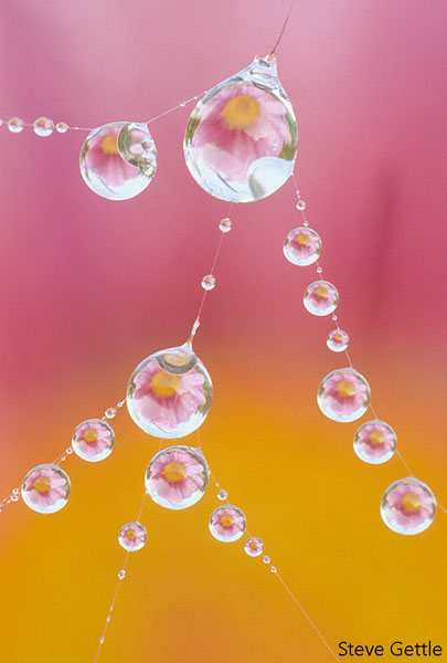 Crystal Balls