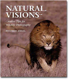 Wildlife Photography: Books On Wildlife Photography
