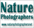 Visit the Nature Photographers web site