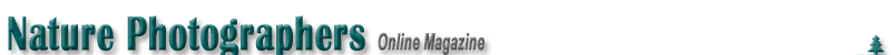 Front Page